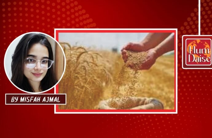 The Wheat Trap: How Colonial CapitalismMade Pakistan’s Staple Food a HealthBlind Spot.